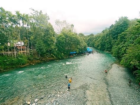 PENGINAPAN ORCHID BUNGALOW (Bohorok) - Lodge Reviews, Photos, Rate ...