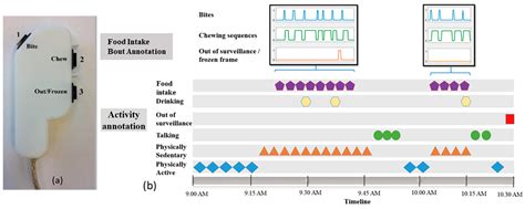Validation of Sensor-Based Food Intake Detection by Multicamera Video ...