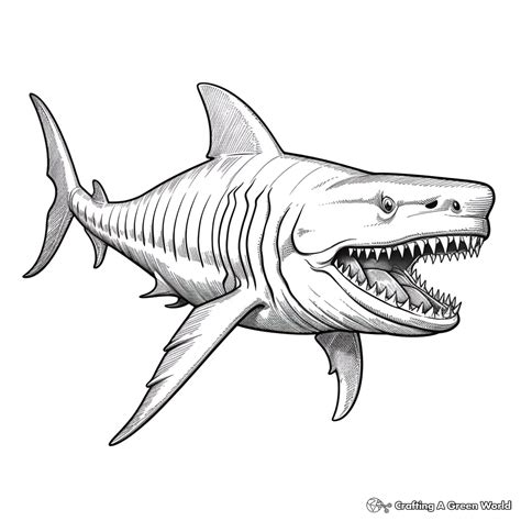 Megalodon Coloring Pages - Free & Printable!