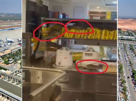 ಯಪ್ಪಾ! ತಿಂಡಿಯಲ್ಲಿ ಹುಳ! ಕಿಚನ್‌ ರೂಂನಲ್ಲಿ ಇಲಿಗಳ ಓಡಾಟ! ಇದು ಬೆಂಗಳೂರು ...