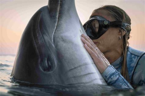 Bottlenose Dolphin Facts: Behavior, Senses, Diet