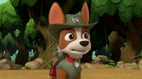 Paw-Patrol-S08-E20-E21-Pups-Save-The-Hiding-Elephants-Pups-Save-a ...