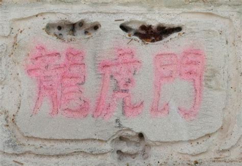 This Group Of Enthusiasts In Singapore Spends The Night Looking For Ants