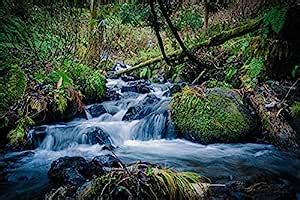 British Terminal™ Beautiful Nature waterfall vastu Painting Poster ...