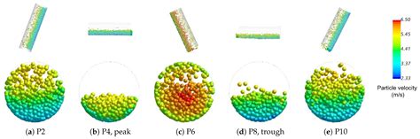Numerical Investigation on the Dynamics of Mixture Transport in ...
