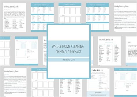 Secret Slob Declutter 的图像结果