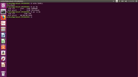 Image result for Checking Shell in Linux