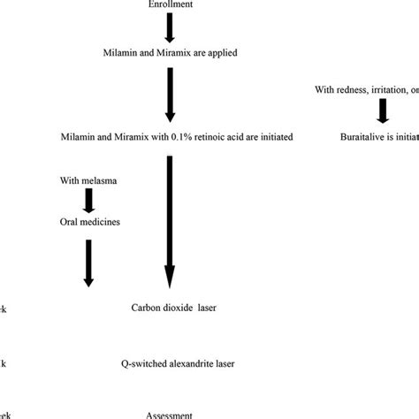 Medical Algorithm Examples 的图像结果