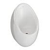Commercial Urinals - Grainger Industrial Supply