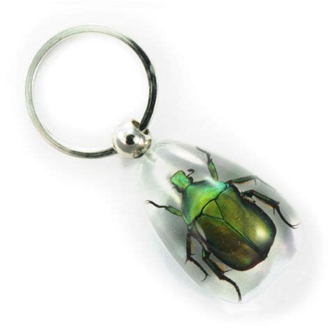 Bug Keychains 的图像结果