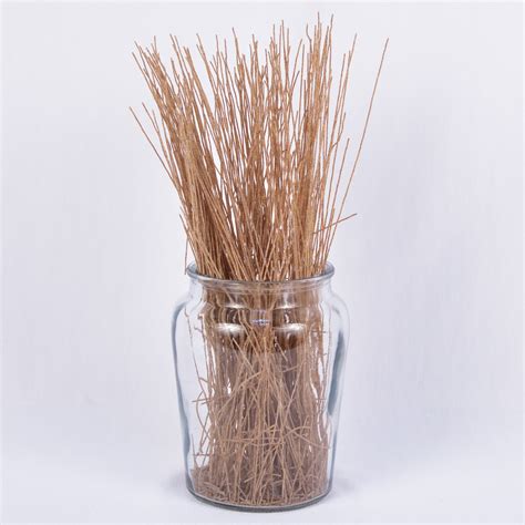 Buy Organic Pasta Online | Pasta & Noodles Grocery & Gourmet