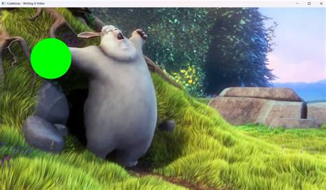 Image result for Python Save Video OpenCV