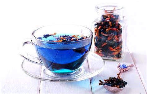 Butterfly Pea Tea: Zubereitung und Wissen - TeeZyt.ch