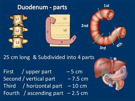 Image result for Programm Design PowerPoint