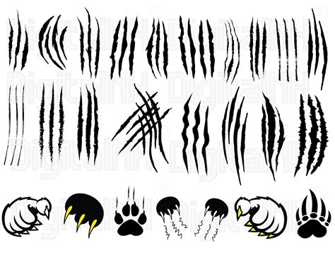 Eagle Claw Marks Vector