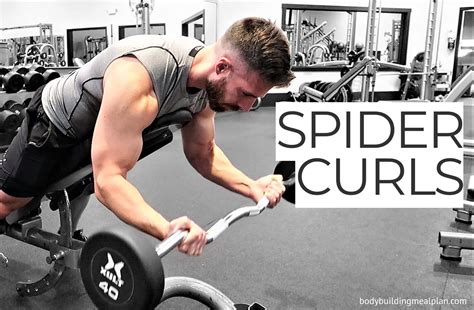 7 Spider Curls Tips For Maximum Bicep Growth