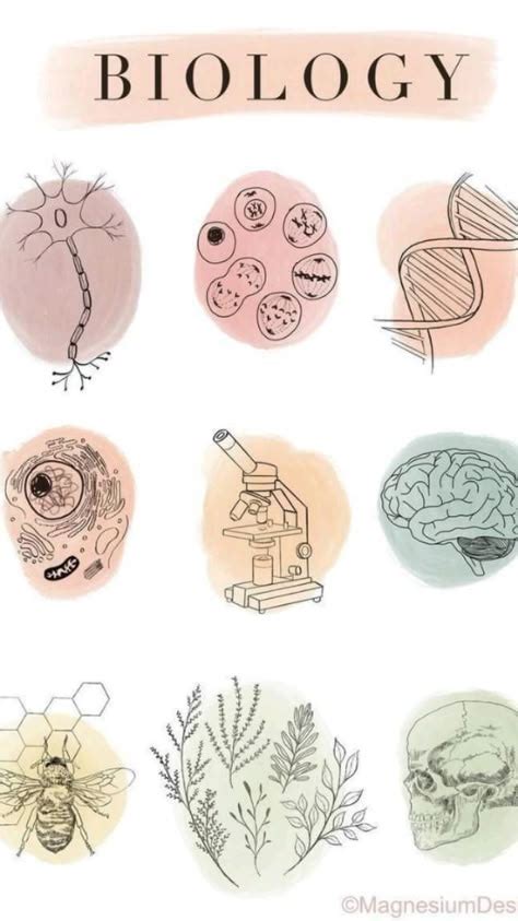 Biology Cute Pictures 的图像结果