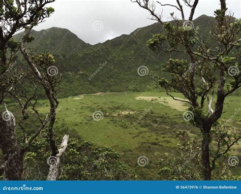 Ka au Crater Hike stock photo. Image of hike, kaaucrater - 56473976