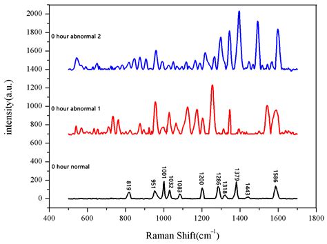 Seed Germination Analysis Based on Raman Spectroscopy
