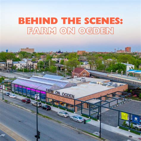 Behind the Scenes: Farm on Ogden – The Chicago Council on Science and ...
