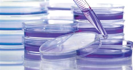 Indian Researcher Aims To Develop Cancer Cure With Help Of Tiny Zebrafish