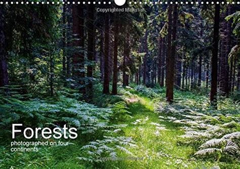 Buy Forests Photographed on Four Continents 2017: See Pictures of ...