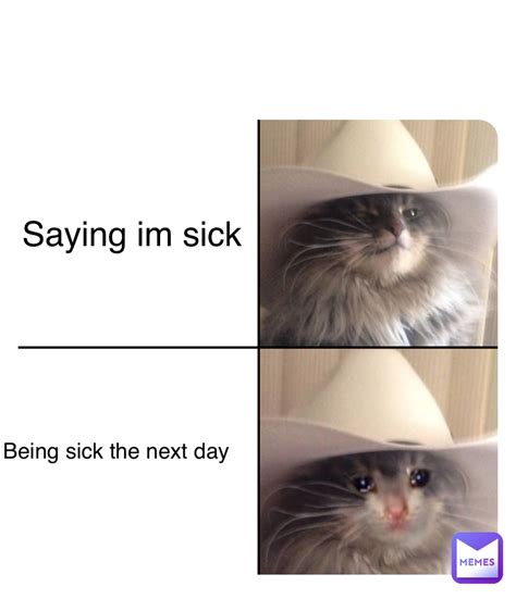 Im Sick Cat