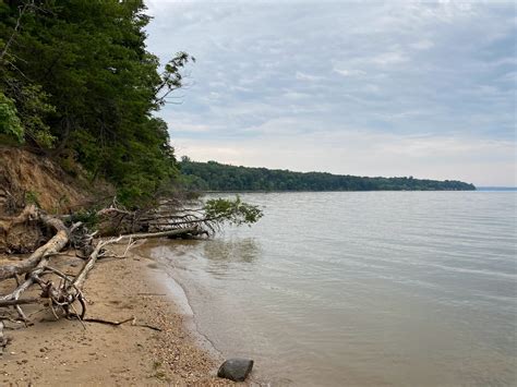 Off Season Beachcombing in Maryland