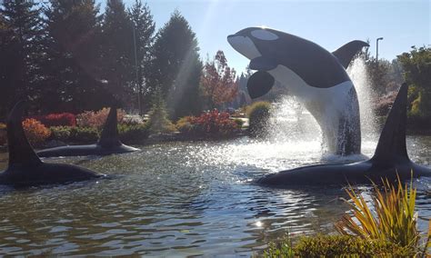 AMBIL SEKARANG
