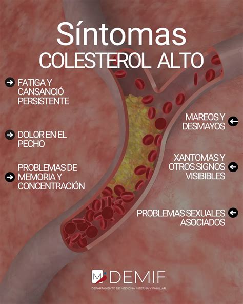 Síntomas del colesterol alto: Señales que no debes ignorar - TRUCOS TV