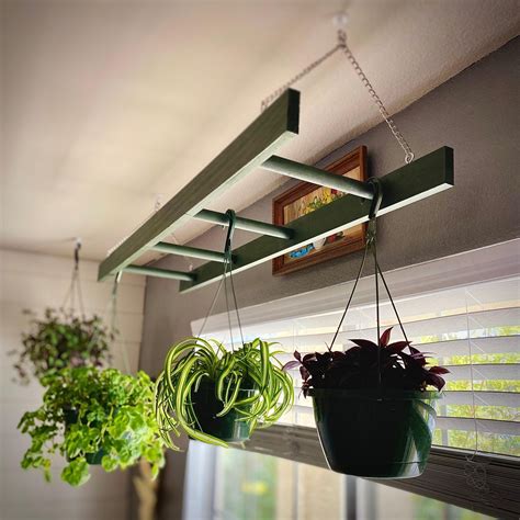 How to Hang Plant from Ceiling: A Complete Guide - Opple House