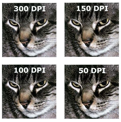 What Is A 300 Dpi Resolution - Free Printable Download