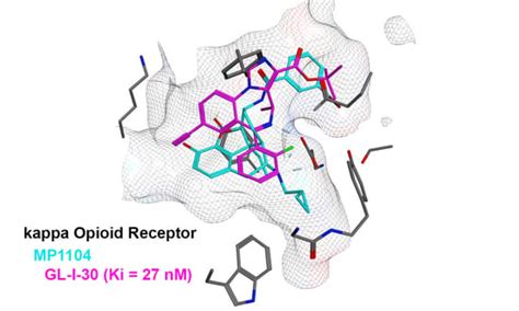 A Structure-Activity Relationship Comparison of Imidazodiazepines ...