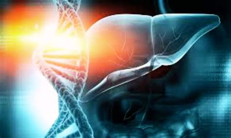 Acquired hyperammonemia and carnitine deficiency mimicking urea cycle ...