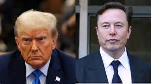 'One Last Shot At Elon': Was A 'Humiliated' Trump Staffer Behind The ...