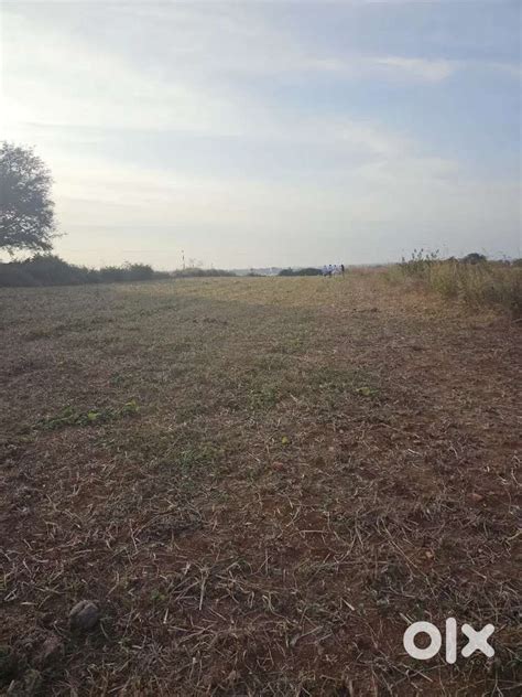 Agriculture land , farm land for sale near kelamangalam tamil nadu ...