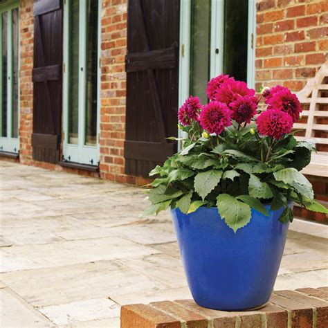 Aston Pots - Glazed Terracotta Pots - More Than Pots