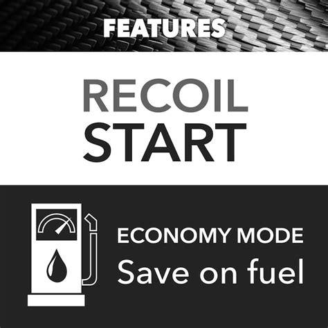 DieHard 2400 -Watt Single Fuel (Gasoline) Inverter Generator in the ...