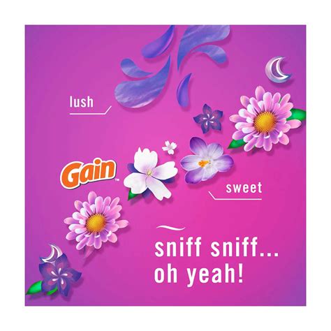 Buy Febreze Air Freshener Spray, Gain Moonlight Breeze Scent, 8.8 oz, 2 ...