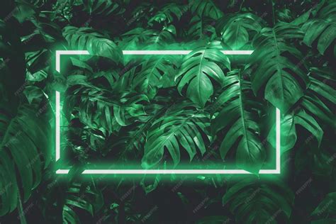 Illustrazione di una grande foglia verde scuro con luce al neon morbida ...