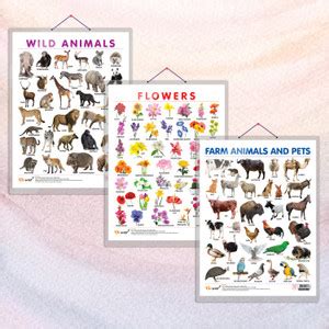 FLOWERS CHART HARD LAMINATED, FARM ANIMALS AND PETS CHART HARD ...