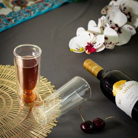 Double Wall Chic Glass (250 ml) (Pack of 2) – EZ Life