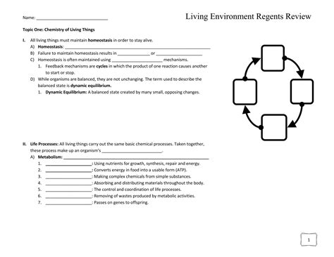 Biology - Regents Review Packet with Blanks | DOCX