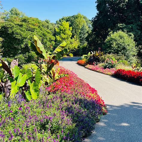 Clark Botanic Garden (Albertson) - Lohnt es sich? Aktuell für 2026 (mit ...