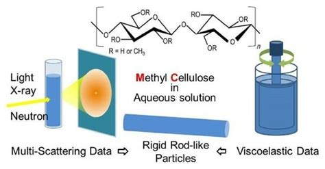 Rigid Rod-like Viscoelastic Behaviors of Methyl Cellulose Samples with ...