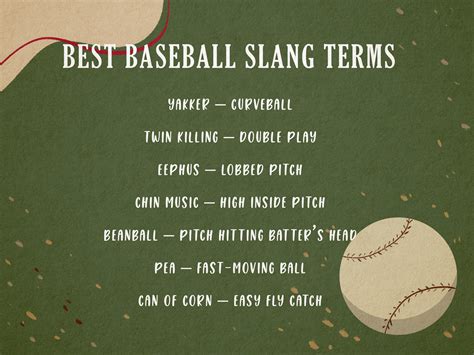 220+ Baseball Terms & Slang You Need to Know