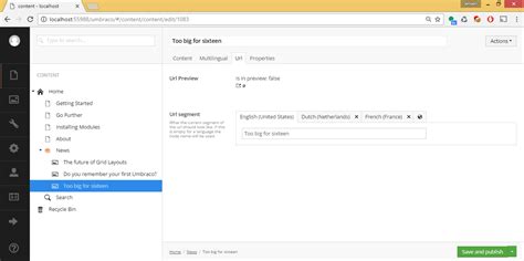 Umbraco edge case stories
