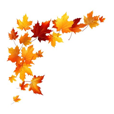 Fall Leaves PNG, Vector, PSD, and Clipart With Transparent Background ...