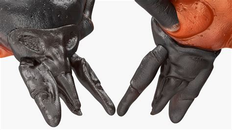 Tutorial Clock Tick Maya 的图像结果