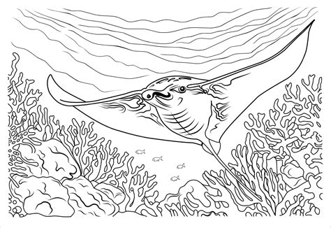 Raia manta do mar profundo página para colorir cartoon ilustração linear de arraia para colorir ...